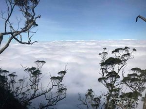 Puncak Gunung Mutis yang Eksotis