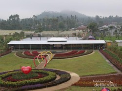 Purbalingga Punya Kebun Bunga Secantik Ini