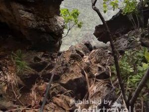 Raja Ampat Juga Punya Danau Ubur-ubur Tak Menyengat