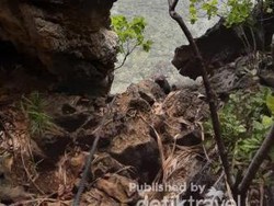 Raja Ampat Juga Punya Danau Ubur-ubur Tak Menyengat