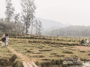 Ranca Upas yang Bikin Rindu
