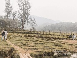 Ranca Upas yang Bikin Rindu