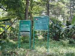 Rawa Danau, Rawa yang Langka di Dunia