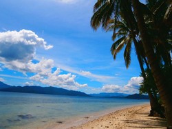 Rayuan Pohon Kelapa di Pantai Klara, Lampung