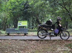 Refreshing Sejenak di Kebun Raya Bogor