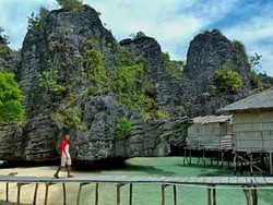 Rekomendasi Homestay & Tempat Diving Eksotis di Misool