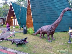 Rekomendasi Penginapan Bernuansa Pedesaan di Borobudur