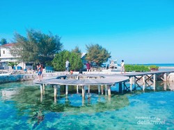 Restoran Terapung di Kepulauan Seribu Ini Punya Penangkaran Hiu
