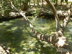 Rileks Dulu di Pemandian Air Panas Mengeruda, NTT