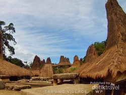 Rindu Savana & Pantai Cantik Sumba