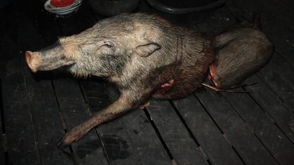 Ritual Pemanggilan Arwah