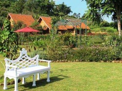 Romantis! Menginap di Tengah Kebun Mawar