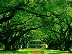 Rumah Kuno Ini Akan Melempar Anda ke Masa Lalu