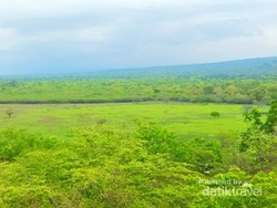 Saat Africa Van Java Sedang Hijau