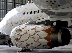 Sambut Olimpiade, British Airways Keluarkan Si Merpati Emas