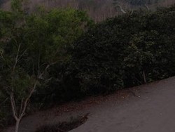 Sandboarding, Aktivitas Seru Saat Liburan di Jogja