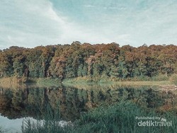 Santai Sejenak di Danau Tambing Lore Lindu