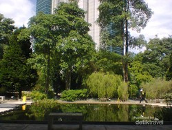 Santai Sejenak di Taman Hort Park, Singapura