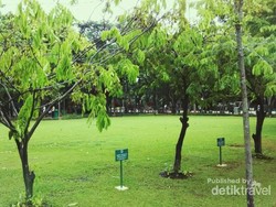 Santai Sore saat Weekend, Yuk Coba ke Taman Menteng!