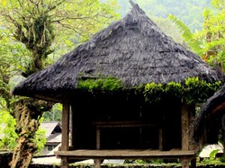 Satu Lagi Desa Adat di Bali yang Cantik