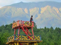 Satu Lagi Hutan Pinus Instagenic di Magelang