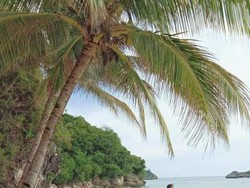 Satu Lagi Pesona Raja Ampat, Pantai Kalek di Misool