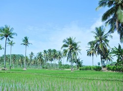 Sawarna, Potret Desa Menawan Khas Indonesia