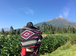 Sebelum ke Dieng, Coba Mampir ke Spot Cantik Ini