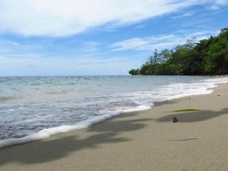 Sebelum Lihat Hiu Paus, Singgah Dulu di Pantai Wagi