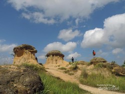 Sedang Hit di Instagram! Bukit Jamur nan Unik di Gresik