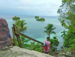 Sedap Banget Lihatnya, Adoki Raja Tiga Si Ikon Kota Karang