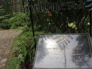Segarkan Pikiran di Orchid Forest Bandung