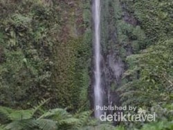 Segarnya Air Terjun Tancak di Jember