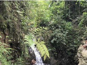 Sejuknya Curug Mariuk di Balik Bukit Masigit Bogor