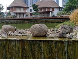 Sejuknya Jakarta di Hutan Kota GBK