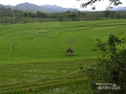 Selain di Pantai Selatan, di Khayangan Juga Dilarang Pakai Baju Hijau