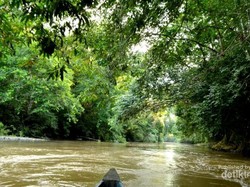 Selain Labuan Cermin, Kaltim Juga Punya Danau Nyadeng