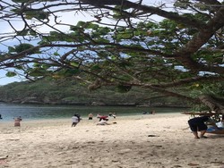 Selamat Pagi dari Pantai Teluk Asmoro Malang