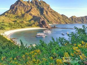 Selamat Pagi dari Pulau Padar yang Cantik