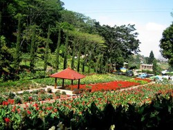 Selecta, Mini Keukenhoff di Timur Jawa