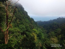 Sensasi Lari di Gunung Gilituri, Magelang
