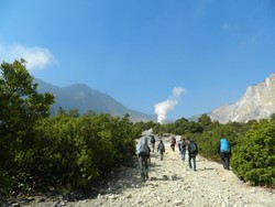 Sensasi Panas Dingin di Gunung Papandayan