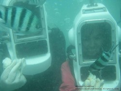 Sensasi Seru Berjalan di Dasar Laut Nusa Dua, Bali