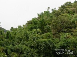 Sensasi Trekking Menuju Coban Rais di Batu