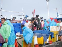 Sepenggal Wajah Makassar di Tempat Pelelangan Ikan (TPI) Paotere