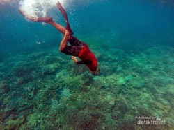 Seperti Ini Keindahan Alam Bawah Laut Pulau Sangiang