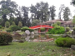 Seperti Jepang, Padahal Singapura