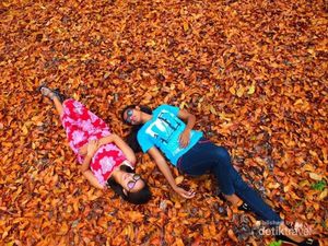 Seperti Luar Negeri, Daun-daun Berguguran di Kota Soe