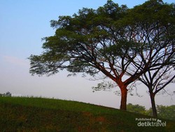 Serpong Punya Spot Foto Menarik yang Instagrammable