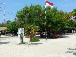 Seru! Keliling Naik Perahu di Hutan Mangrove Pulau Pari